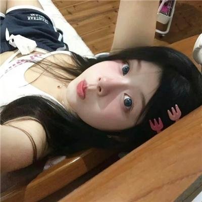 动物界